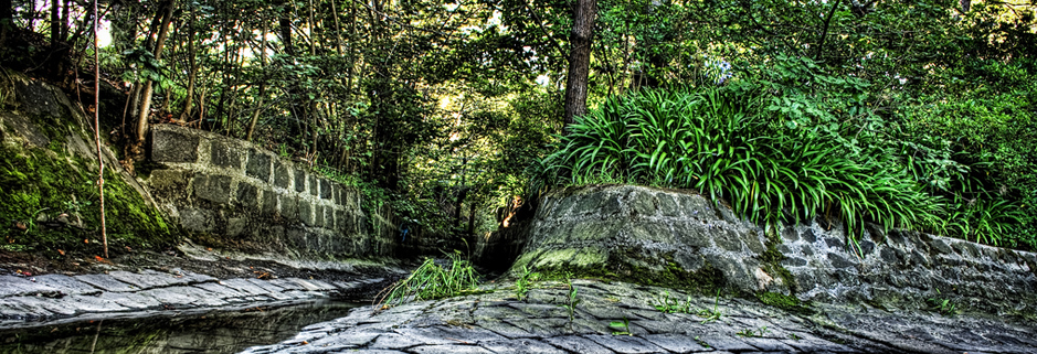 不限功能使用的DDOS攻击测试