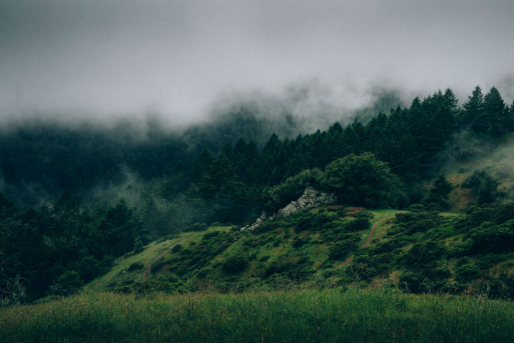 【安卓手机版】极速下载的自动攻击网站工具下载